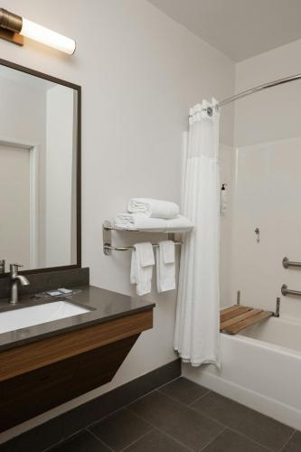 a bathroom with a shower and a sink and a tub at Fairfield by Marriott Inn & Suites Grand Rapids Airport in Grand Rapids