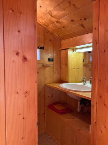 baño con lavabo en una cabaña de madera en Mansarda Veronza, en Castello di Fiemme