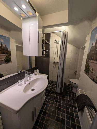 a bathroom with a sink and a toilet at Klooster Mariadal Maastricht in Maastricht