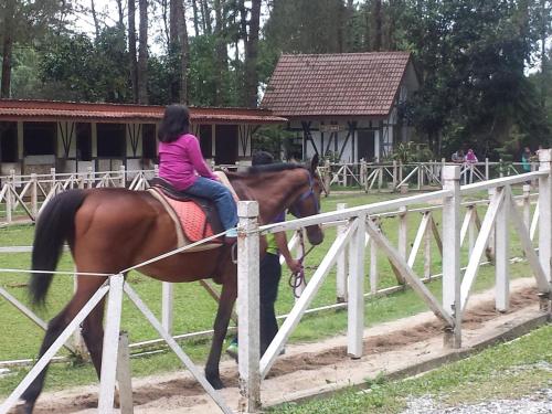 フレイザーズ・ヒルにあるComfyHome A3-5-6 5th Flr Mountaon viewの柵を越えて馬に乗る少女