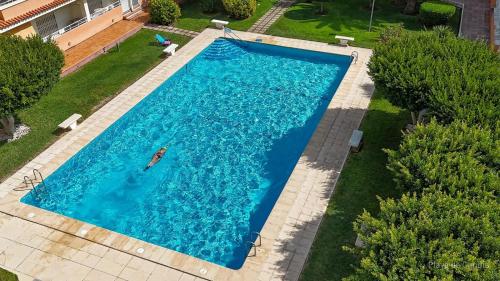 eine Draufsicht auf einen großen blauen Swimmingpool in der Unterkunft Apartamento PARADISE Solo Familias in Gandía