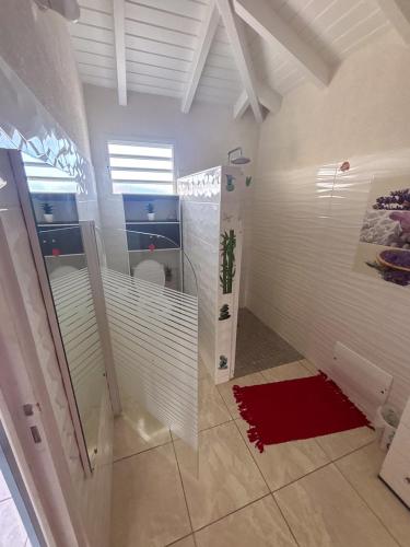 a bathroom with a shower and a red rug at Gîte Soleil Canne in Capesterre