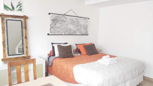 a bedroom with a bed and a mirror at Encanto Fueguino calido centrico wifi para dos in Ushuaia