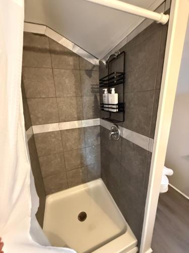 a shower with a sink in a bathroom at The Yellow Brick House in Geneva