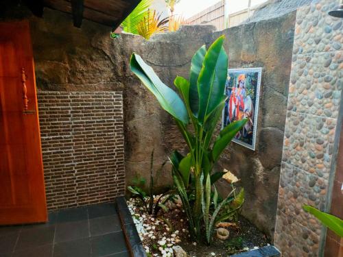 Φωτογραφία από το άλμπουμ του Ardi Beltza Villa σε Gili Air