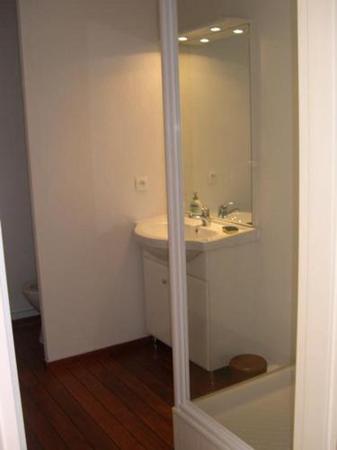 a bathroom with a sink and a mirror at F2 Le Lavezzi in Ajaccio