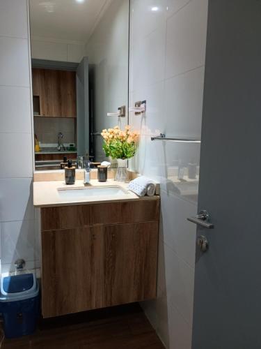 a bathroom with a sink and a shower at Departamento para Dos in Temuco