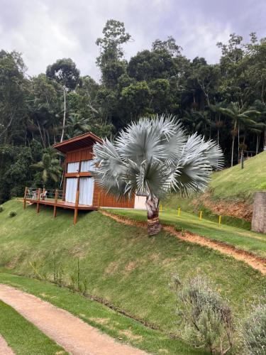 a palm tree in front of a cabin at Sítio Rancho Mineiro in Domingos Martins