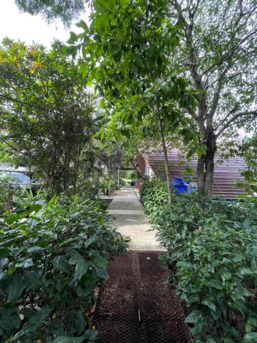 a garden with trees and a walk way at บ้านนกฮูก อิงธารา in Ban Khlong Sai