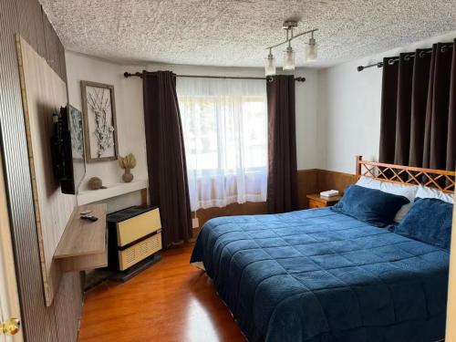 蓬塔阿雷纳斯Casa Patagonica的卧室里有一张蓝色的床和一台电视