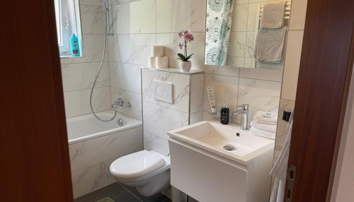 een witte badkamer met een toilet en een wastafel bij Modernes Luxus Apartment direkt neben Shopping und Bus in Schaan