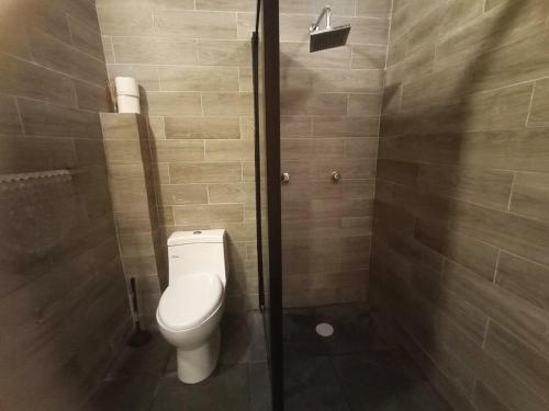 a bathroom with a toilet and a shower at Casa Posada Rústica - A 1 minuto del Jardín Unión in Guanajuato
