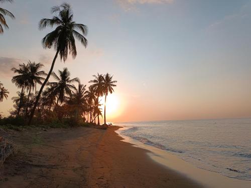 a beach with palm trees and the ocean at sunset at Sonnenhouse Lombok Kertaraharja in Luk