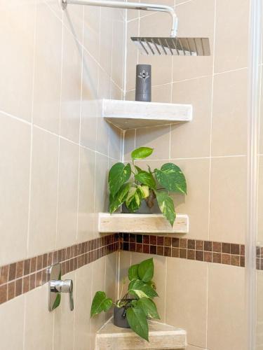 a bathroom with two plants on shelves in a shower at Casa Atara in Flores