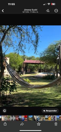 a picture of a hammock hanging from a tree at Cabañas Refugio Lavanda in Villa de Las Rosas