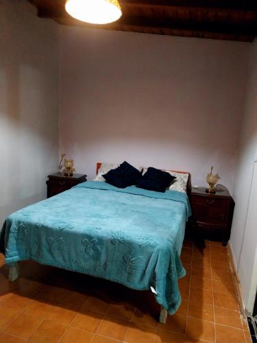 a bedroom with a bed with blue sheets and two night stands at La casa de las flores in Las Heras