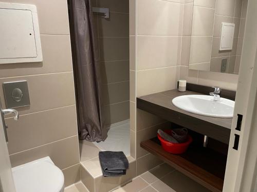 Ένα μπάνιο στο Studio 4 pers, piscine, animaux admis, Gourette - FR-1-860-52