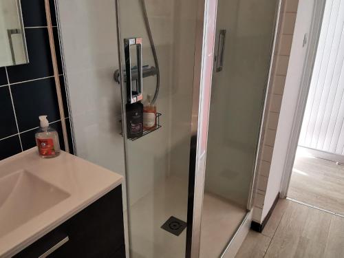 a glass shower in a bathroom with a sink at Studio à La Faute-sur-Mer avec vue sur la lagune et océan, parking et animal admis - FR-1-194-325 in La Faute-sur-Mer