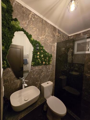 a bathroom with a toilet and a sink at Bârlogul balaurului in Afumaţi