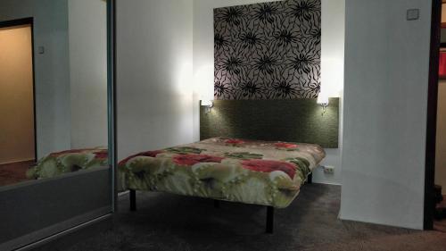 ドニプロにあるCentral Park Apartmentのベッドルーム(ベッド1台、鏡付)