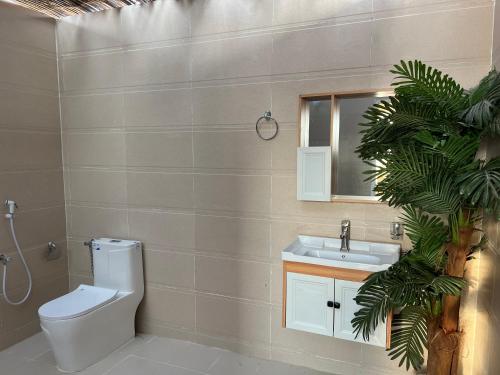 een badkamer met een toilet, een wastafel en een spiegel bij Al Salam Desert Camp Oman in Al Qābil