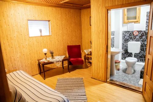 a room with a bathroom with a toilet and a chair at Casa dintre Pini Agapia in Agapia