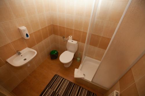 a small bathroom with a toilet and a sink at Ośrodek Wypoczynkowy Sowa in Lipniak