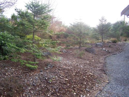 Gallery image of Easy on the Edge in Ucluelet