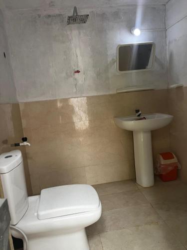 a bathroom with a toilet and a sink and a tv at Delft Aquatic Tourist Hotel in Delft Centre