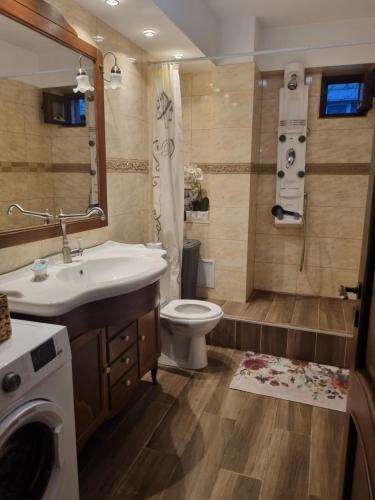 a bathroom with a toilet and a sink and a washing machine at Luxury central in Craiova