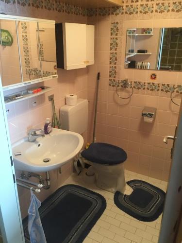 a small bathroom with a toilet and a sink at Haus Stöckl Top 14 in Königsleiten