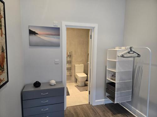 a bathroom with a sink and a toilet in a room at Chris cosy retreat in Buckinghamshire