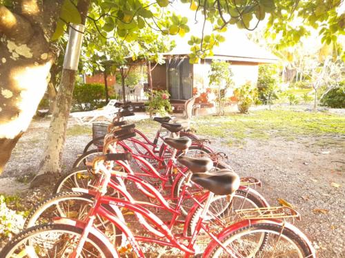 Jízda na kole v ubytování MONITA VILLA nebo okolí