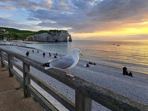 Nouveauté 2026 piscine chauffée - Le gîte de SoleilMapou pour 12 personnes en Normandie près de Fécamp et d'Etretat, idéal grandes tribus, vous pouvez me contacter sur Les gîtes de SoleilMapou