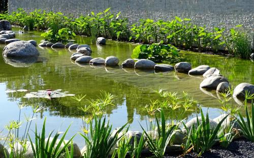a pond in a garden with rocks and plants at Maison du Lac in Les Angles Gard