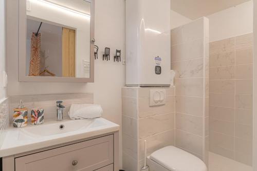 a bathroom with a sink and a toilet and a mirror at Le Morgon, Studio Confort, proximité Villefranche Centre in Gleizé
