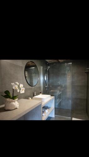 a bathroom with a sink and a mirror at Le Marzelheide 1 in Lontzen