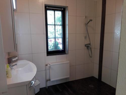 uma casa de banho com um lavatório e um chuveiro com uma janela em Altes Zollhaus am Klinikum em Lübeck