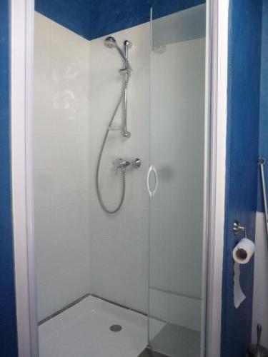 a bathroom with a shower with a glass door at Les Orchis in Cornus