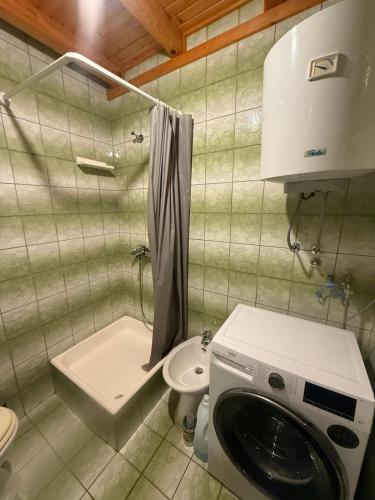 a bathroom with a washing machine and a toilet at Studio apartman i sobe SIDRO in Karlobag