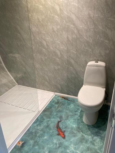 a bathroom with a toilet and a fish on the floor at Five Cottages in AONB and an Obbit House! in Canterbury