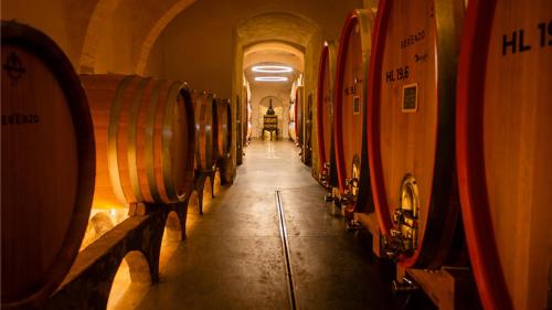 a row of wine barrels in a wine cellar at Agriturismo Borgo d'Asso in San Giovanni dʼAsso