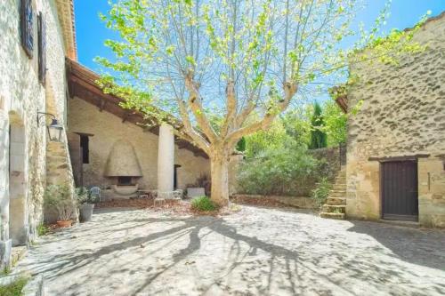 a courtyard with a tree and a building at Mas de Thésée Piscine & 12 ha privés in Reillanne