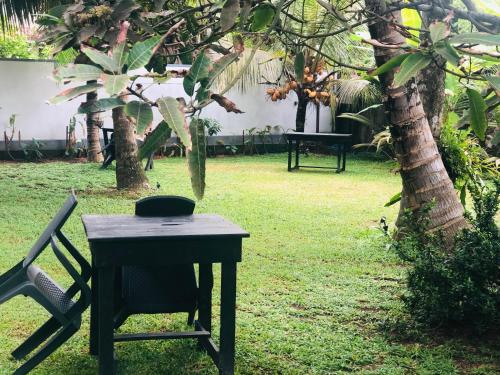 Κήπος έξω από το New Ocean Breeze Madiha