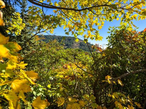 a view of the mountains through the leaves of trees at Casa Abetos in Collado Mediano