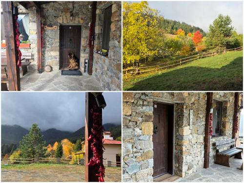 een collage van foto's met een hond die buiten een gebouw zit bij Къща за гости МЕЧА СТЪПКА in Gela