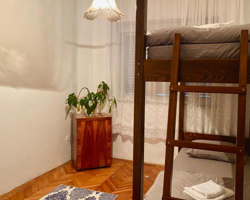 Un dormitorio con una litera y una planta sobre una mesa. en Small Hill Guesthouse, en Podgorica