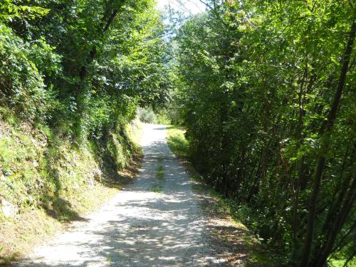 a dirt road with trees on both sides at Agriturismo Cascina Lert in Marone