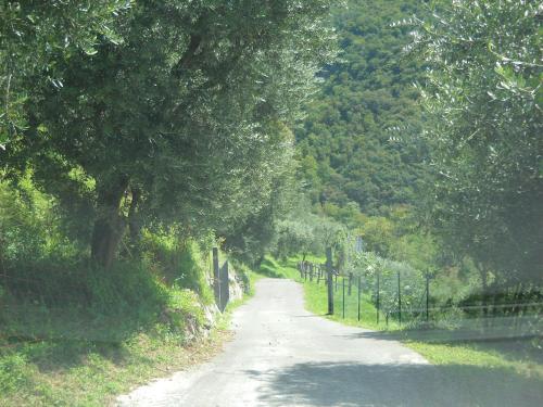 a road with trees and a fence on the side at Agriturismo Cascina Lert in Marone
