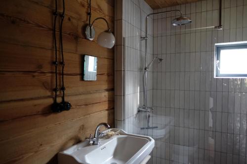 a bathroom with a sink and a shower at Kukučio ausy in Trasninkas